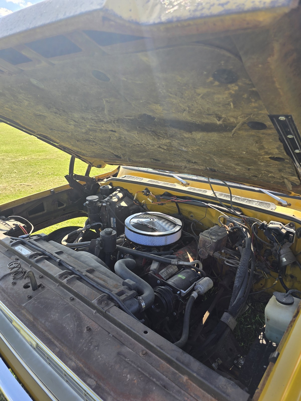 Chevrolet-C-10-1974-25