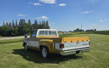 Chevrolet-C-10-1974-3