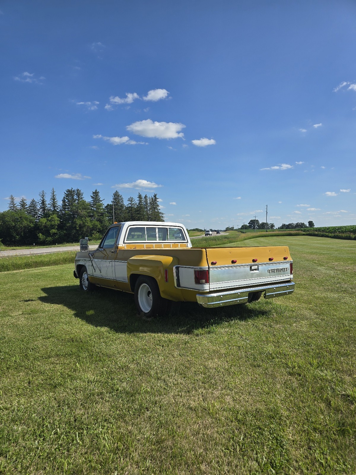 Chevrolet-C-10-1974-3