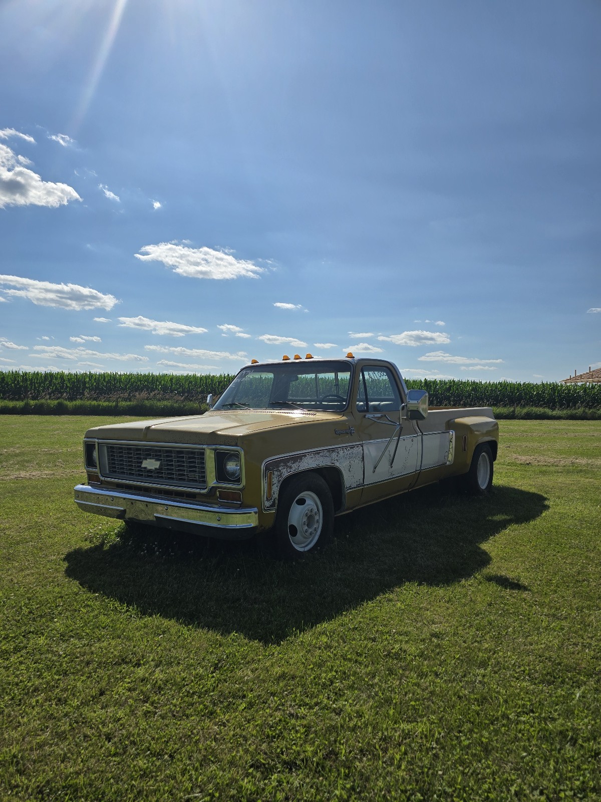 Chevrolet-C-10-1974-4