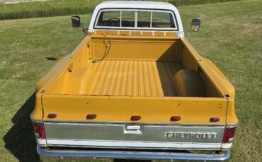 Chevrolet-C-10-1974-6