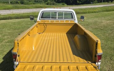 Chevrolet-C-10-1974-9
