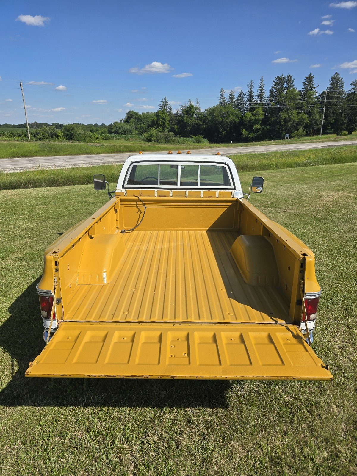 Chevrolet-C-10-1974-9
