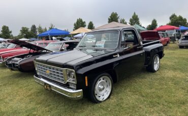 Chevrolet-C-10-1975-10