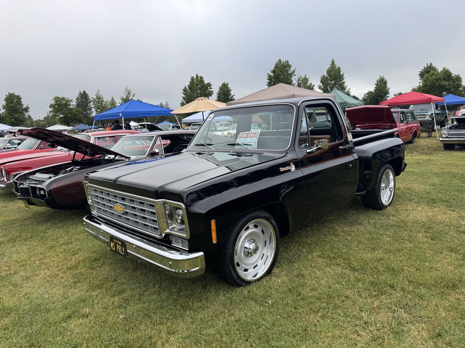 Chevrolet-C-10-1975-10