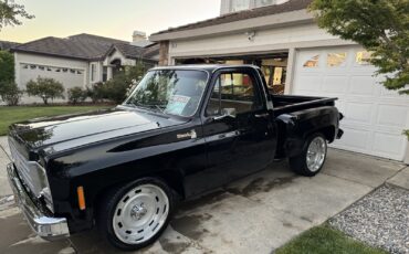 Chevrolet-C-10-1975-11
