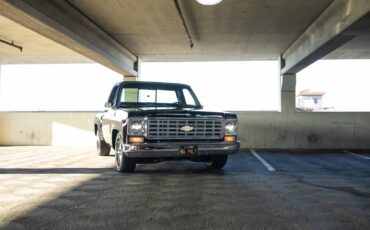 Chevrolet-C-10-1975-22