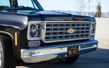Chevrolet-C-10-1975-3