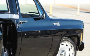 Chevrolet-C-10-1975-5
