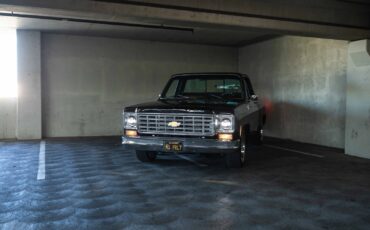 Chevrolet-C-10-1975-8