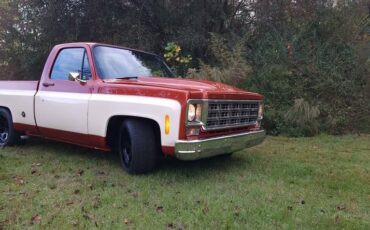 Chevrolet-C-10-1976-Standard-Cab-Pickup-1