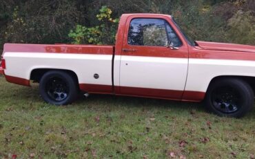 Chevrolet-C-10-1976-Standard-Cab-Pickup-3