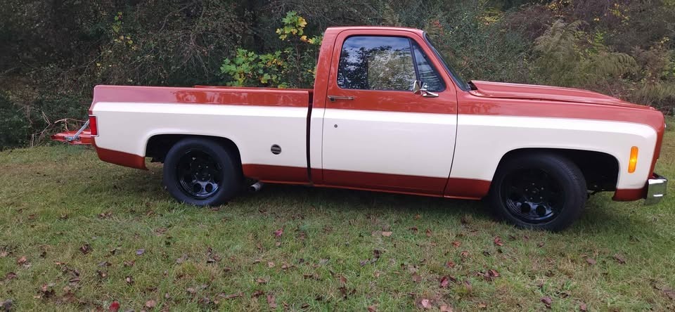 Chevrolet-C-10-1976-Standard-Cab-Pickup-3