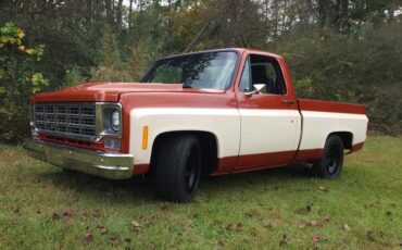 Chevrolet-C-10-1976-Standard-Cab-Pickup