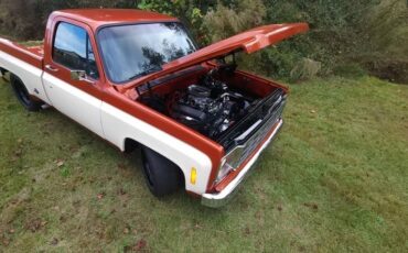 Chevrolet-C-10-1976-Standard-Cab-Pickup-4