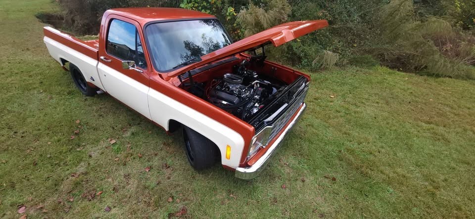 Chevrolet-C-10-1976-Standard-Cab-Pickup-4