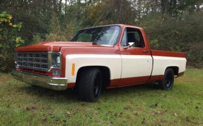 Chevrolet C-10 1976 Standard Cab Pickup
