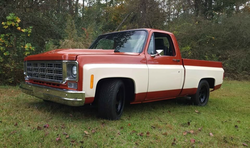 Chevrolet-C-10-1976-Standard-Cab-Pickup