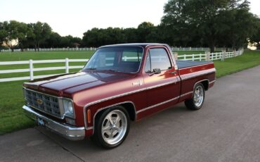 Chevrolet-C-10-1977-1