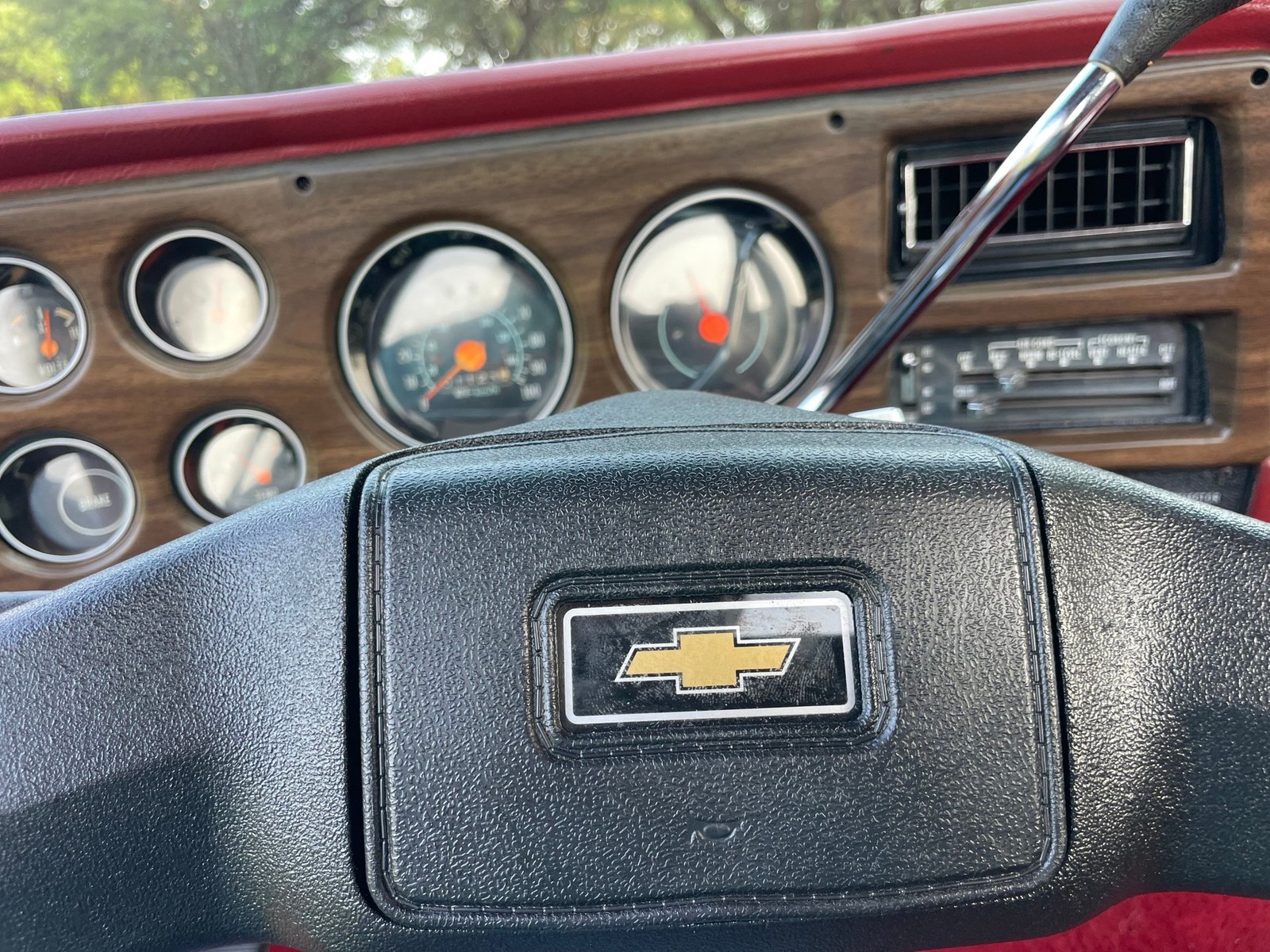 Chevrolet-C-10-1977-16