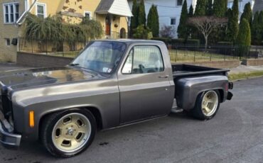 Chevrolet-C-10-1978-Standard-Cab-Pickup-15
