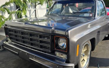 Chevrolet-C-10-1978-Standard-Cab-Pickup-7