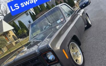 Chevrolet-C-10-1978-Standard-Cab-Pickup