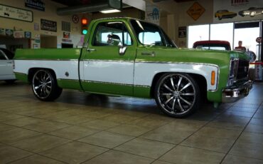 Chevrolet-C-10-1979-Classic-Car-11