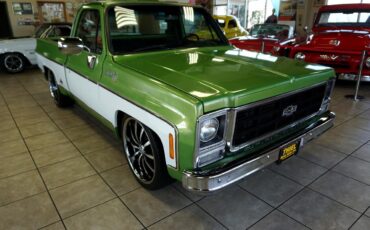 Chevrolet-C-10-1979-Classic-Car-12