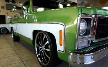 Chevrolet-C-10-1979-Classic-Car-15
