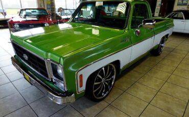 Chevrolet-C-10-1979-Classic-Car-2