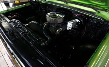 Chevrolet-C-10-1979-Classic-Car-29
