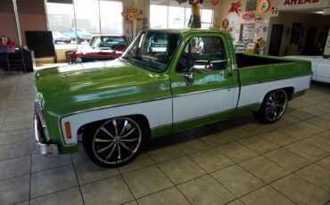 Chevrolet-C-10-1979-Classic-Car-3