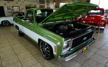Chevrolet-C-10-1979-Classic-Car-31
