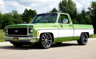 Chevrolet-C-10-1979-Classic-Car-34
