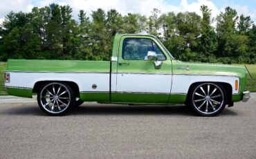 Chevrolet-C-10-1979-Classic-Car-36