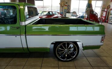 Chevrolet-C-10-1979-Classic-Car-39