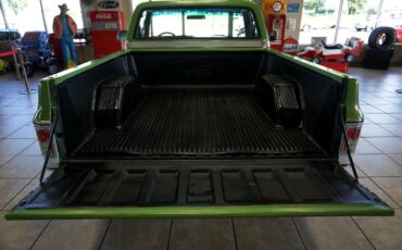 Chevrolet-C-10-1979-Classic-Car-8