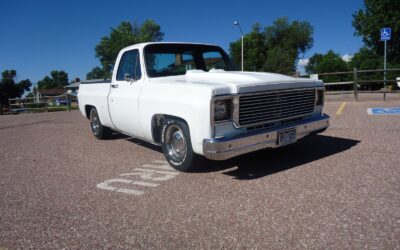 Chevrolet C-10 1979 Standard Cab Pickup