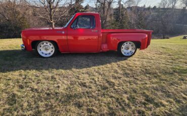 Chevrolet-C-10-1981-1
