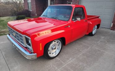 Chevrolet-C-10-1981-10