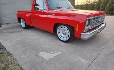 Chevrolet-C-10-1981-12