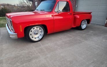 Chevrolet-C-10-1981-14