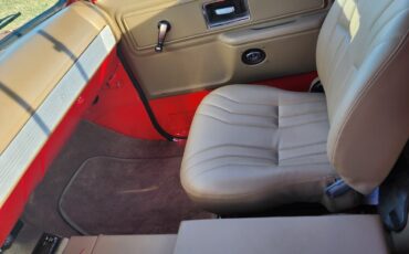 Chevrolet-C-10-1981-21
