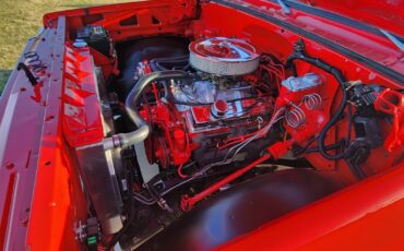 Chevrolet-C-10-1981-26