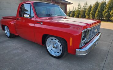 Chevrolet-C-10-1981-4