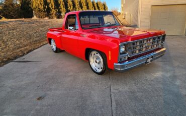 Chevrolet-C-10-1981-6