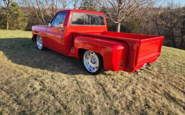 Chevrolet-C-10-1981-8