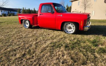 Chevrolet-C-10-1981-9