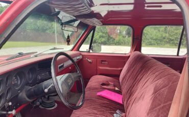 Chevrolet-C-10-1981-Cab-Chassis-3